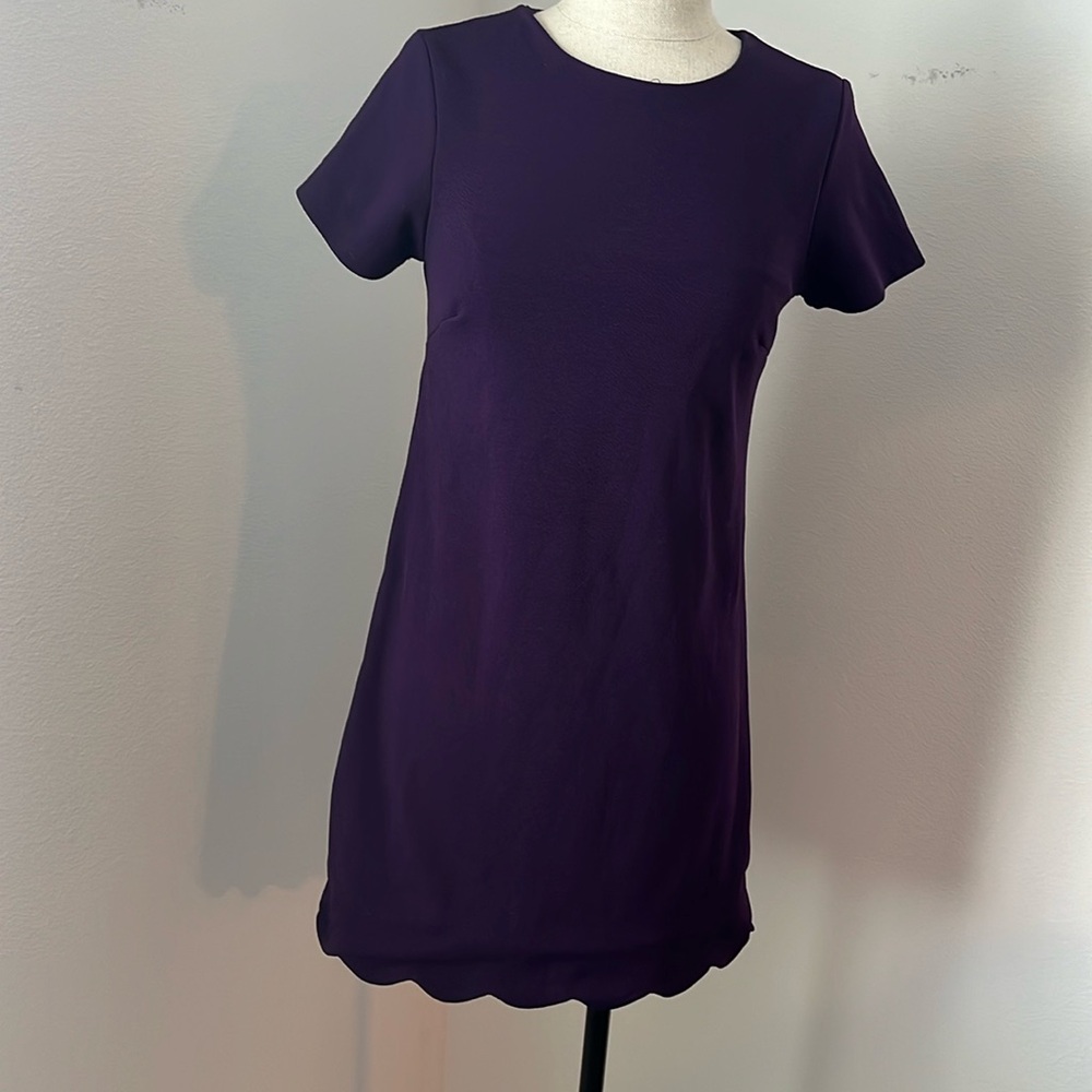 Mi Ami purple short sleeve shift Dress